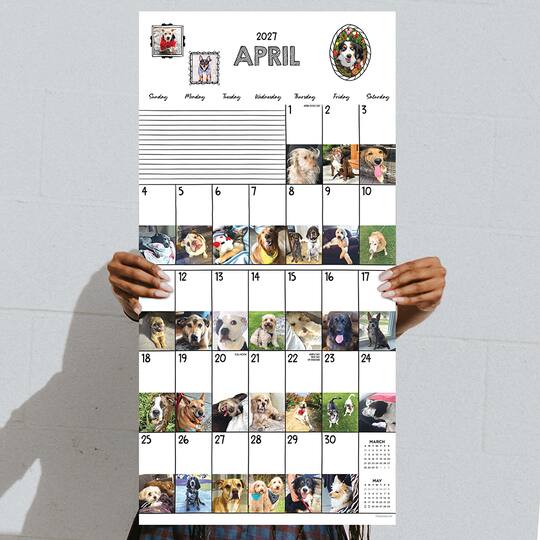 2027 Dog-A-Day Wall Calendar